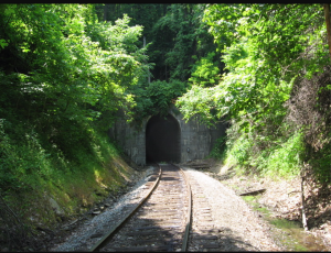 "S" Tunnel 